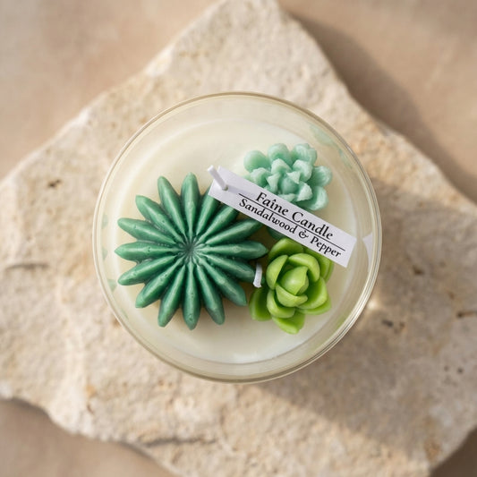 Botanical succulent terrarium candle styled beautifully as a unique, artisanal gift on a modern wooden coffee table alongside natural house plants.