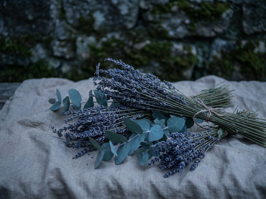 Lavender