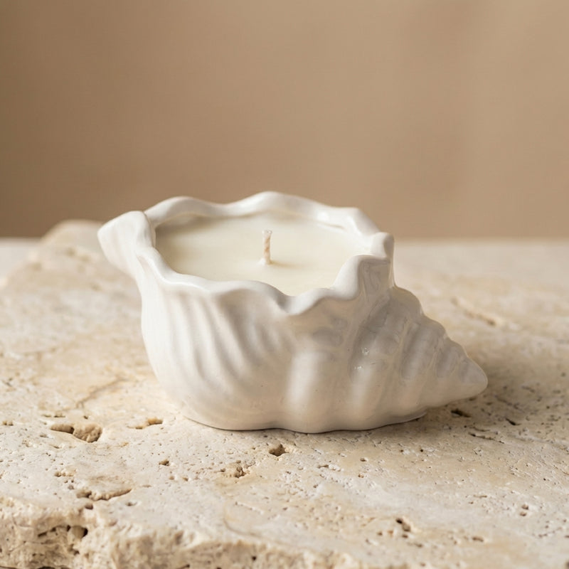 Close-up of a handcrafted conch shell-shaped gypsum vessel featuring hand-poured natural soy wax and a single cotton wick.